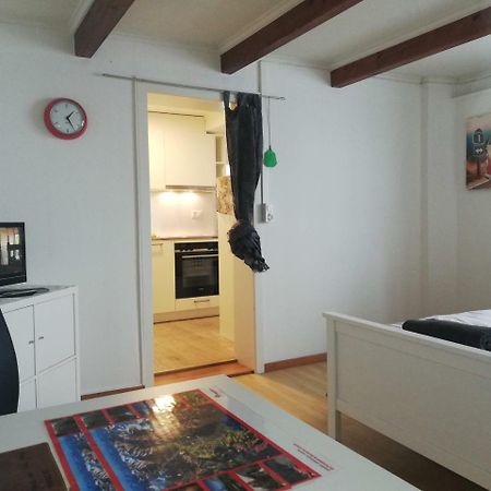 Meiringen Studio Fur 2 Personen Apartament Zewnętrze zdjęcie